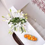 Luxury Bifora Apartment